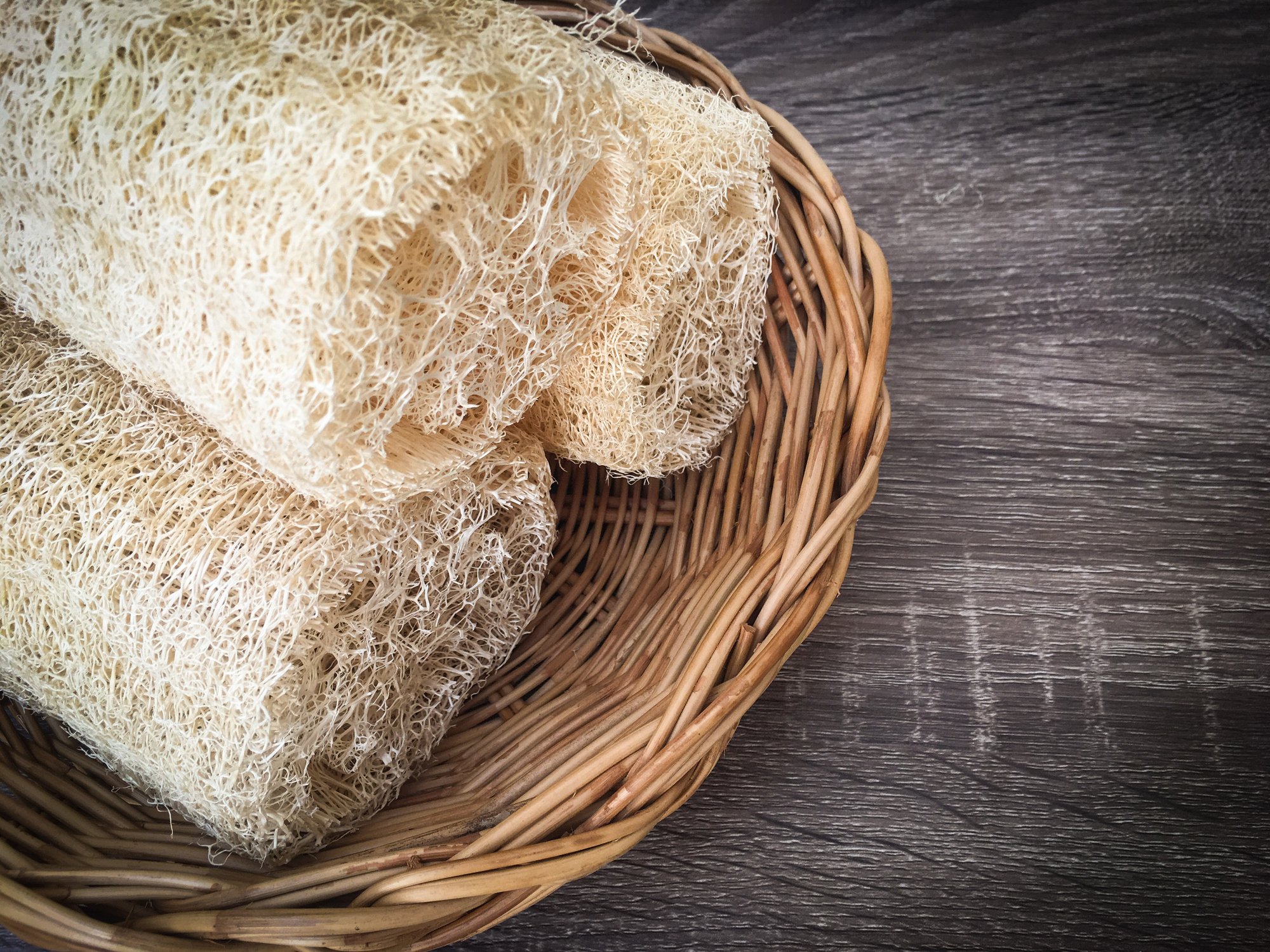 shower loofah