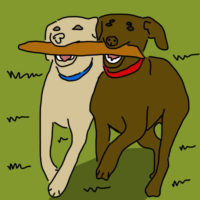 0000_Layer-Comp-1-14.jpg 0000_Layer-Comp-1-14.jpg