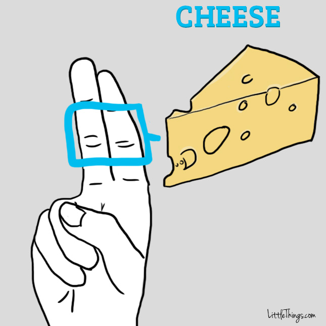 0000_cheese.jpg