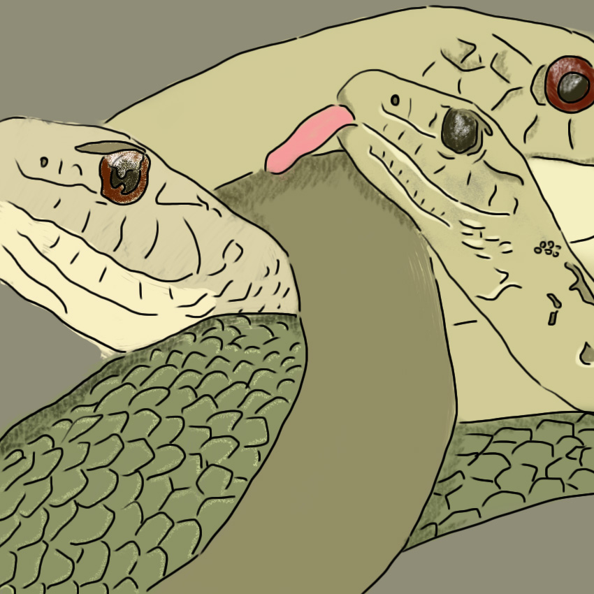 0004_Layer-Comp-59.jpg