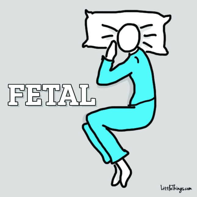 0005_FETAL.jpg