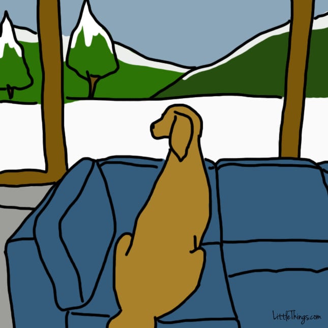 0008_Layer-Comp-923.jpg 0008_Layer-Comp-923.jpg
