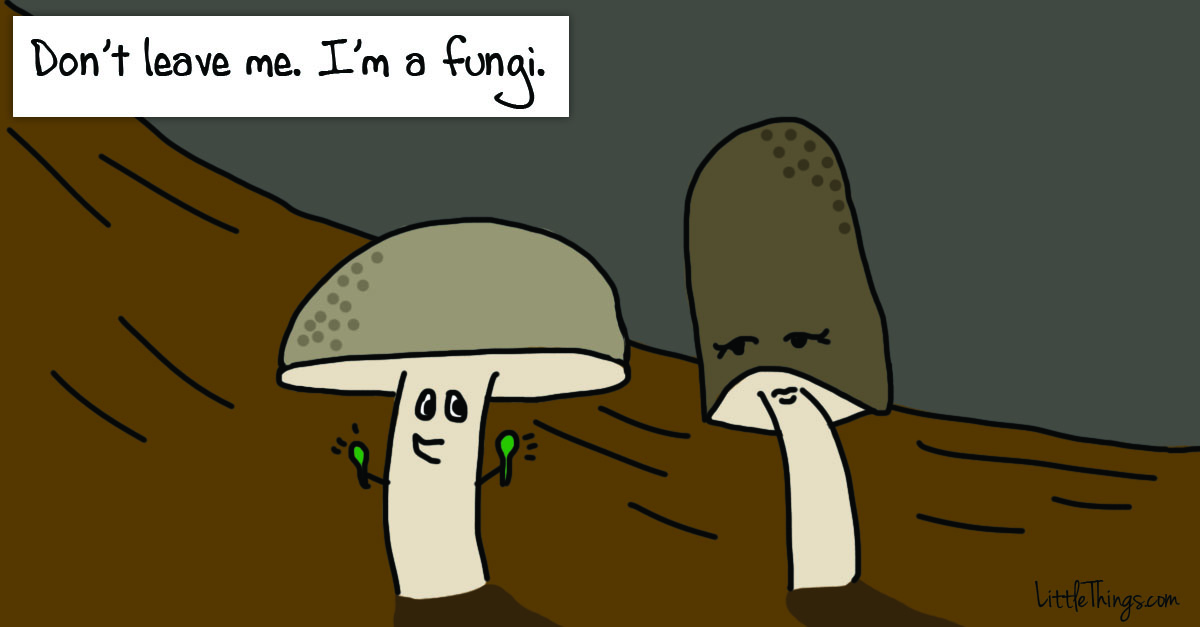 0011_funghi.jpg