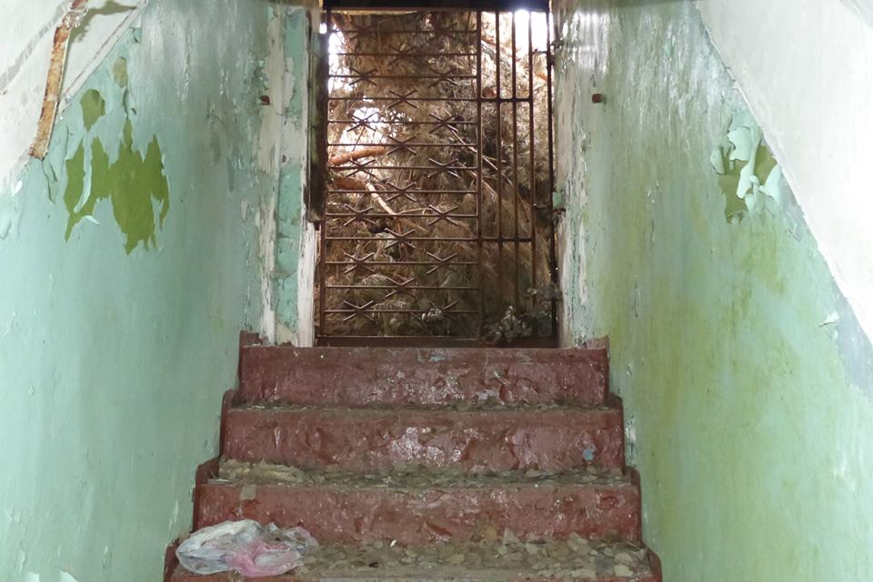 03-View-from-inside.jpg
