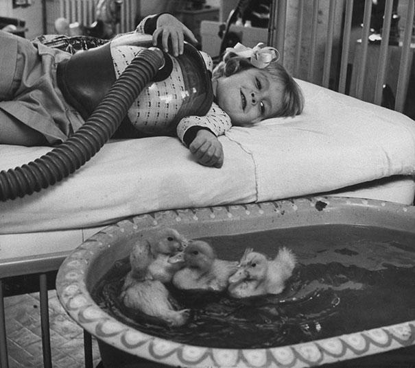 04-Animals-being-used-as-part-of-medical-therapy-1956.jpg