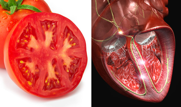 07-Tomato-HeartFoods-That-Look-Like-Body-Parts-1.jpg