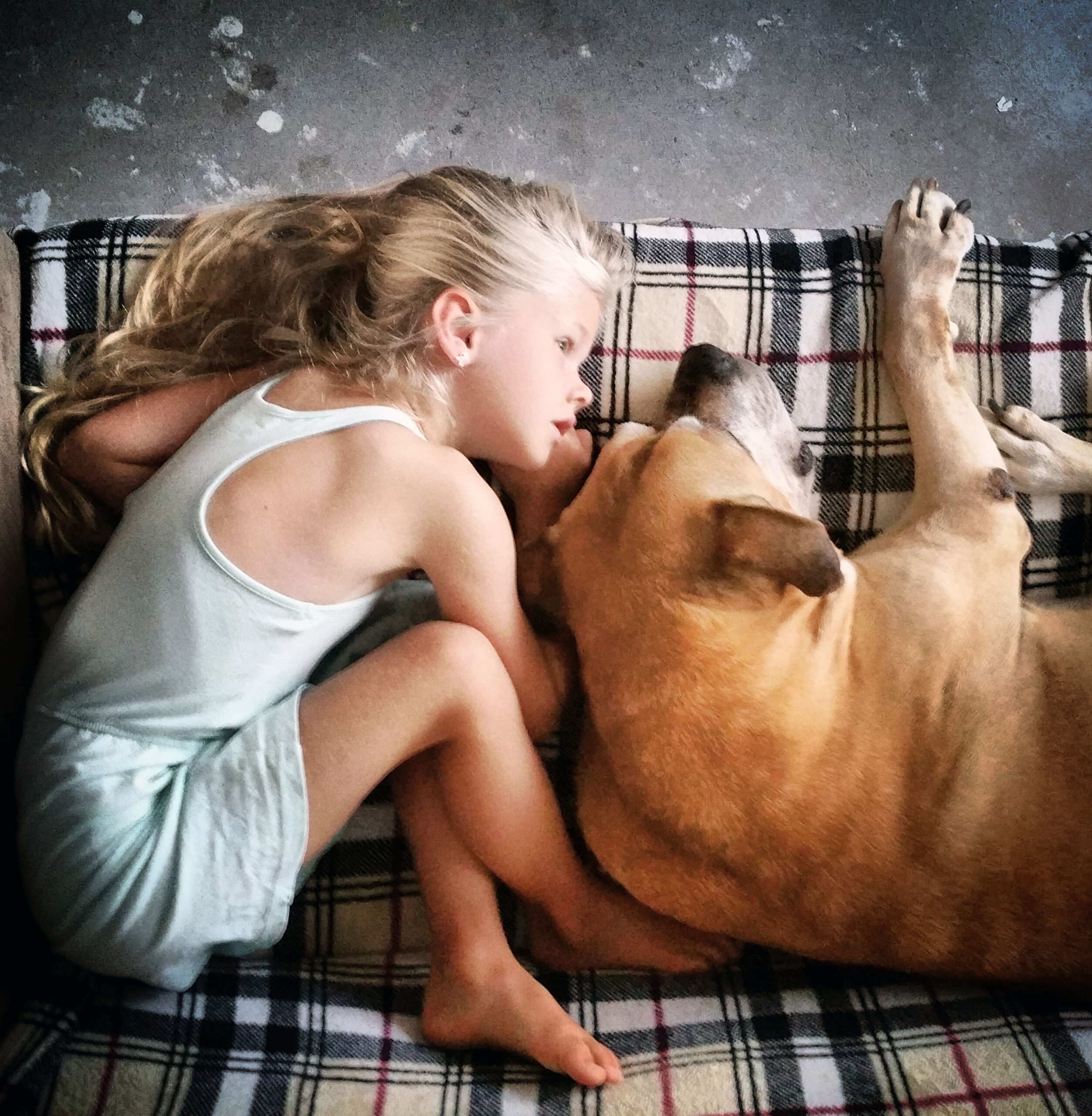 Girl Says Goodbye to Dog