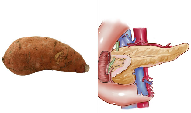 10-Sweet-Potatoes-PancreasFoods-That-Look-Like-Body-Parts-1.jpg