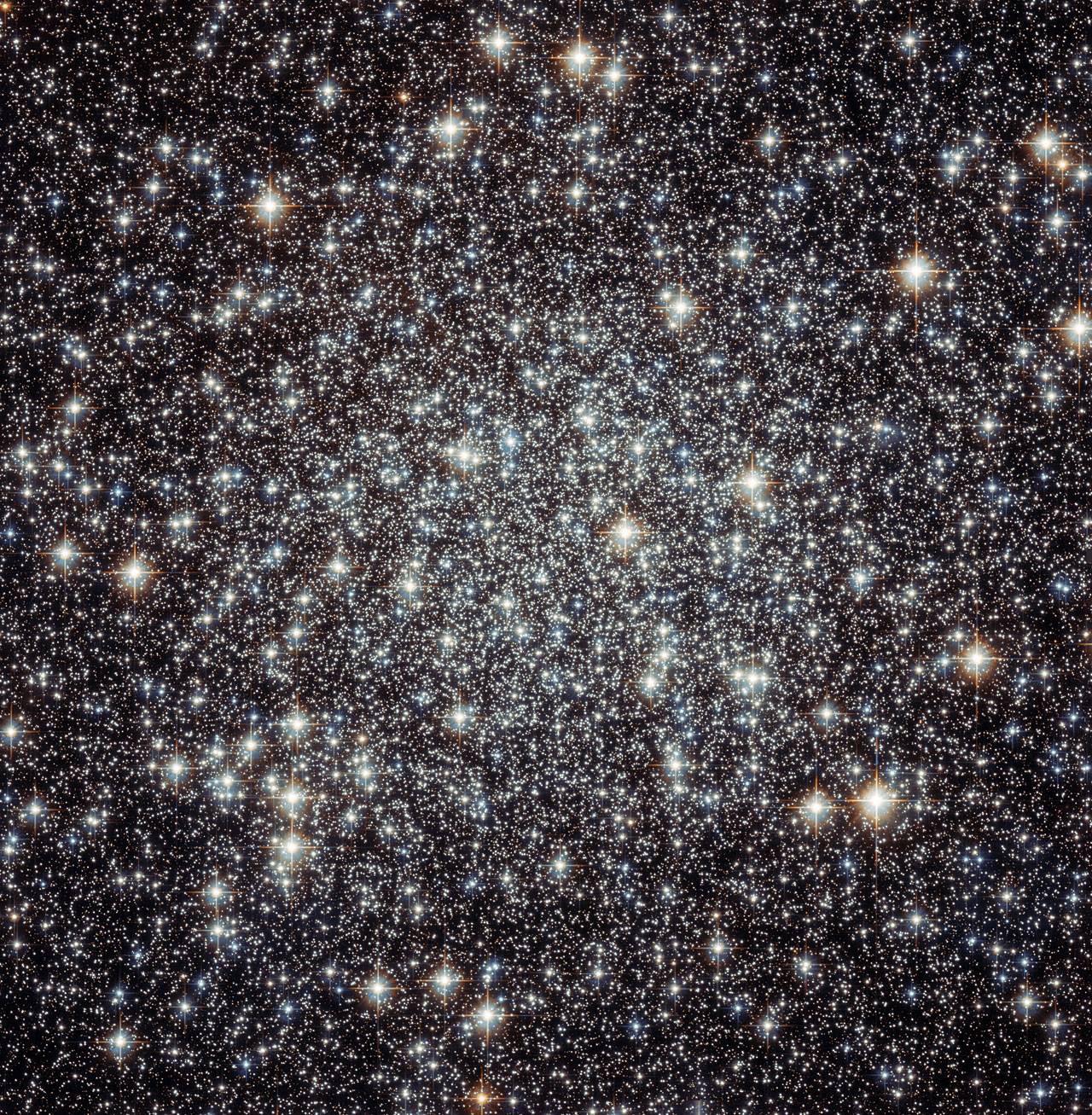 10986424_10153144268798426_6826870462602126943_o.jpg
