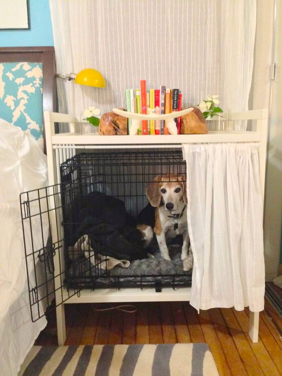 11.-Dog-Crate1.jpg