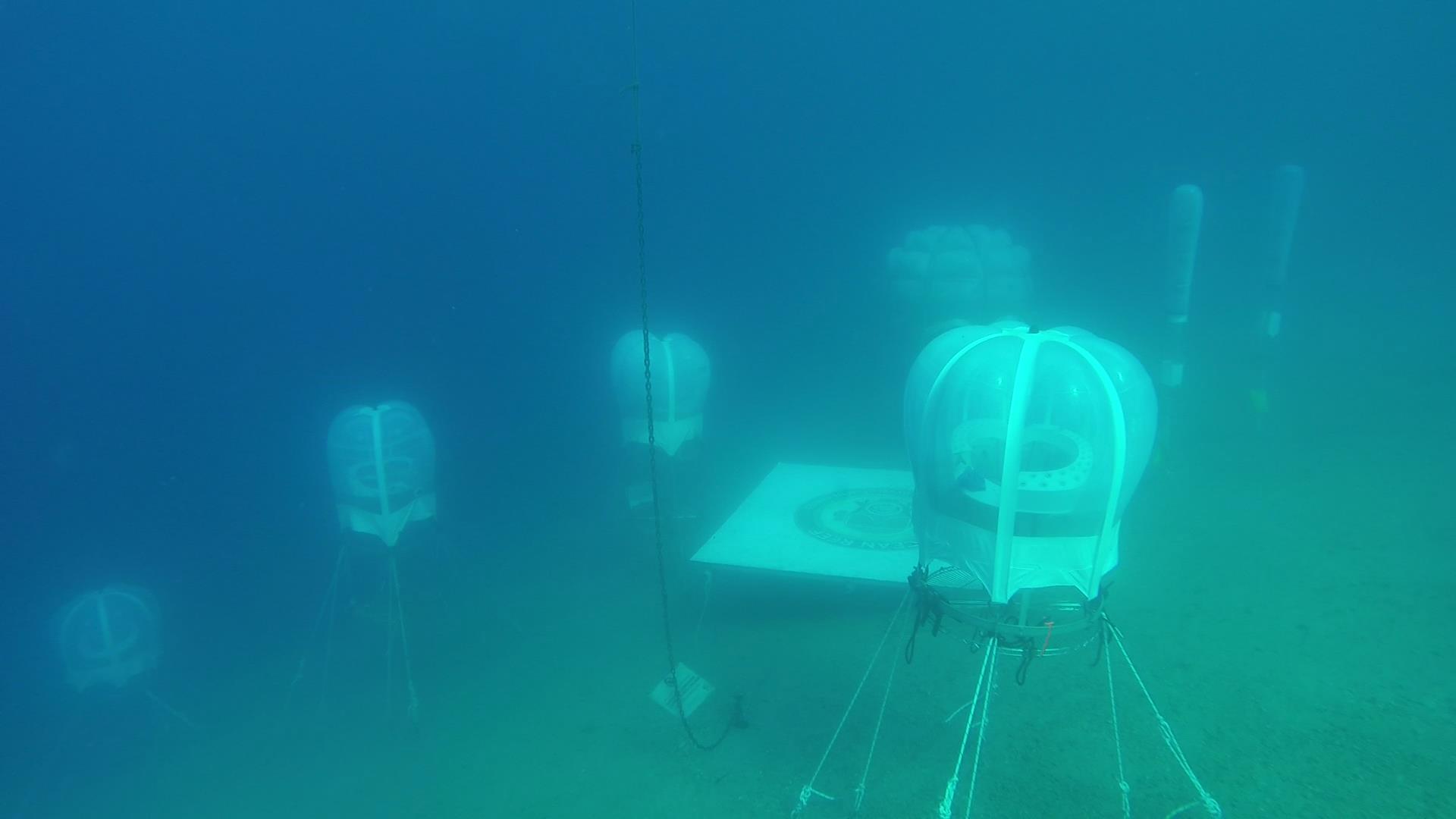 11216617_468662199981642_5216162204883663234_o.jpg