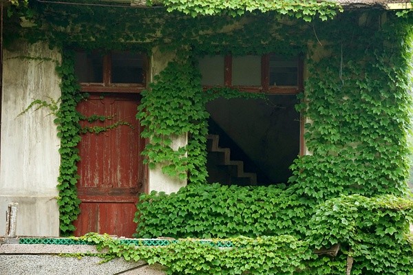 117-1.jpg