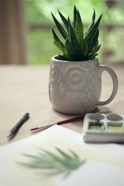 12.-Aloe.jpg