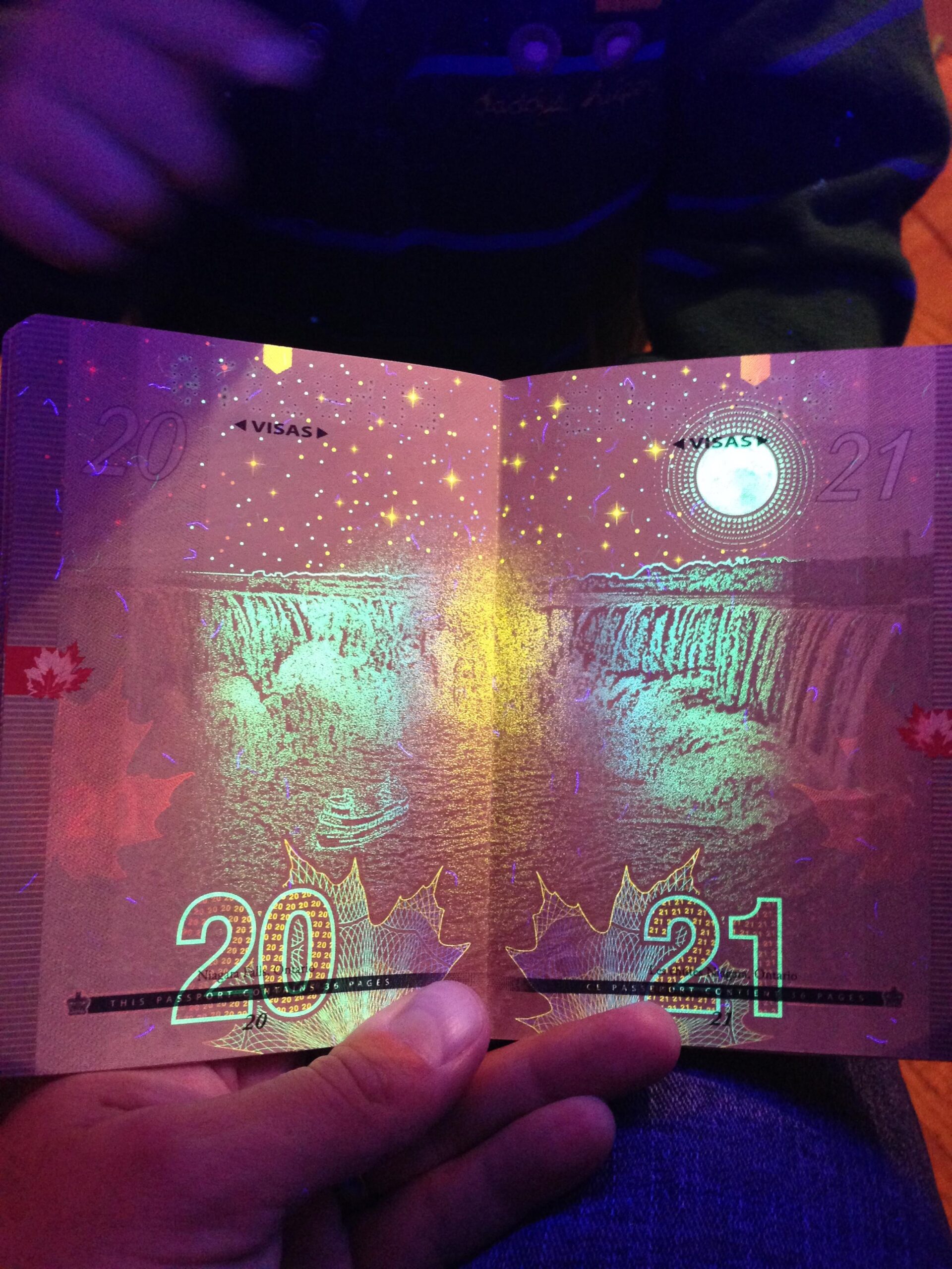 1212-5.jpg