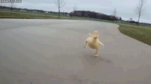 1395489951256gif_0.gif