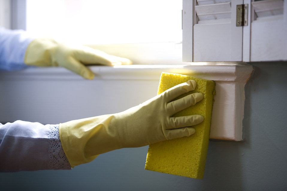 16323-an-african-american-woman-cleaning-a-window-pv.jpg