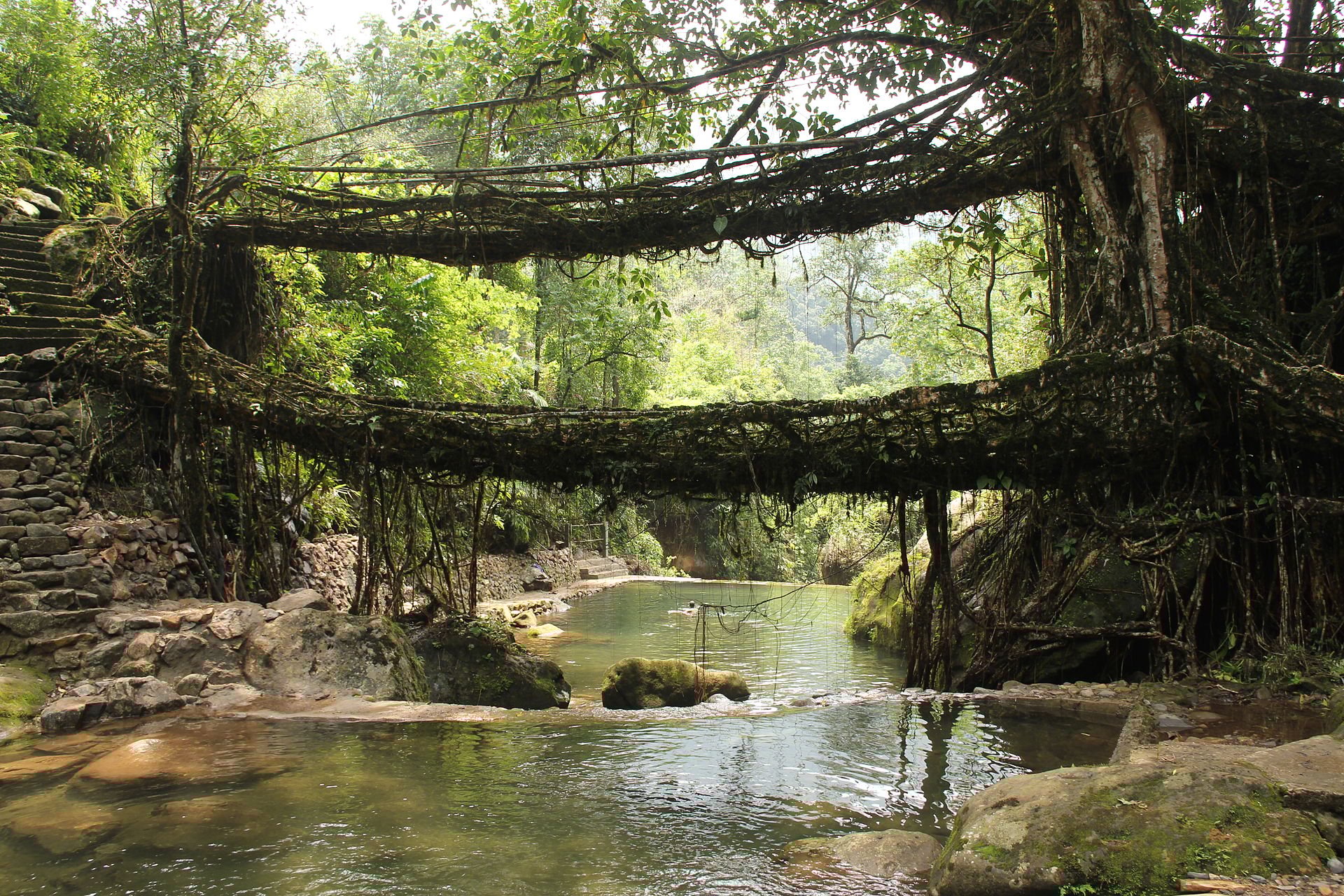 1920px-Living_root_bridges_Nongriat_village_Meghalaya2.jpg