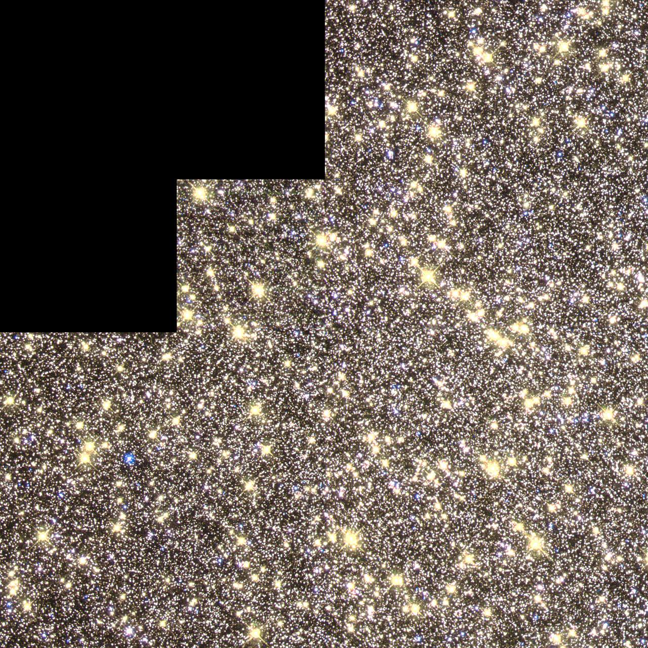 1979152_10152649623213426_3983402697678546303_o.jpg
