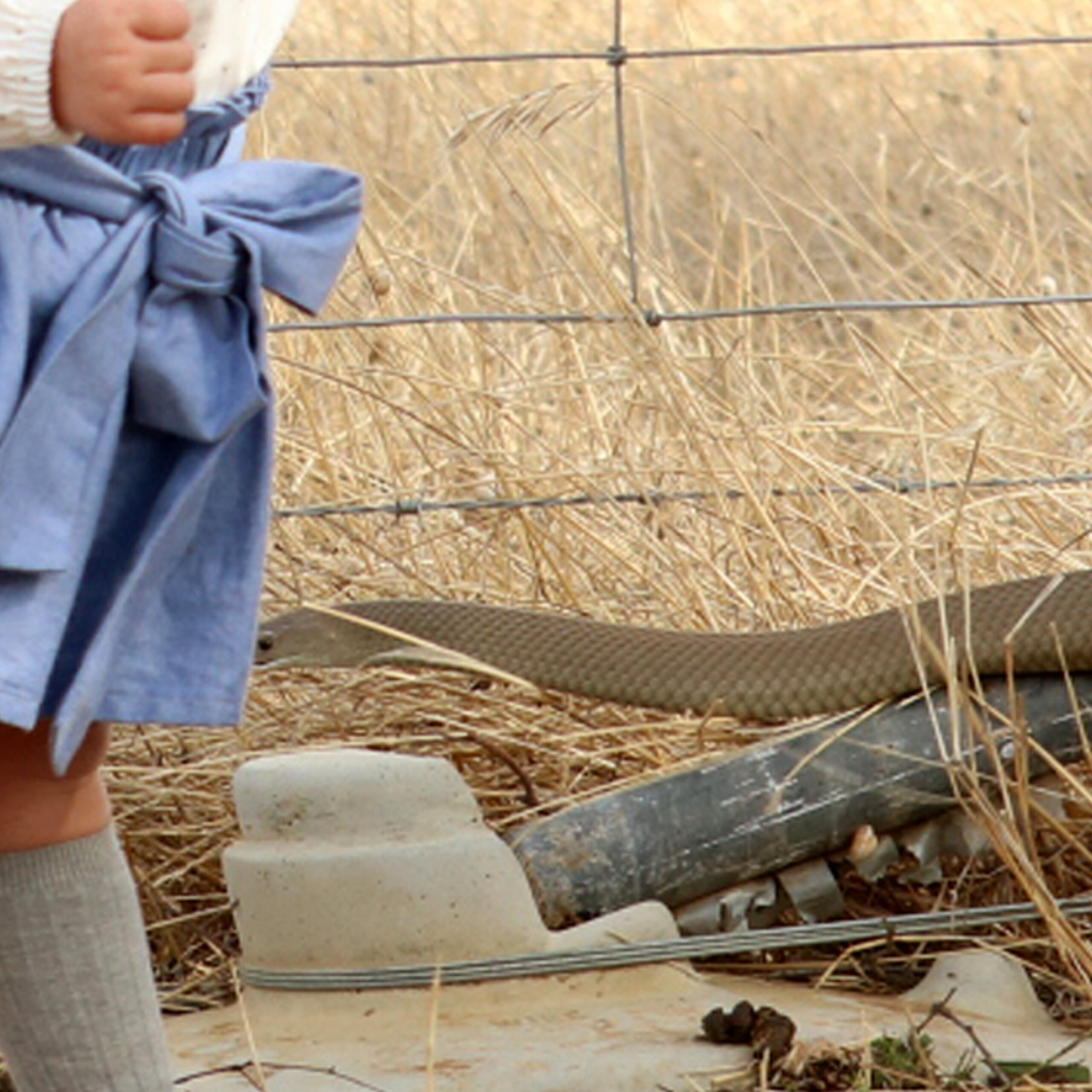TODDLER AND SNAKE CLOSE CALL