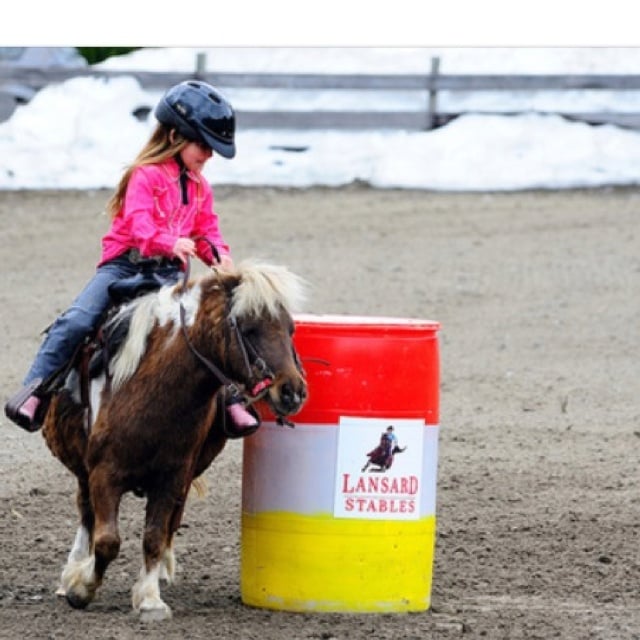 1pony.jpg
