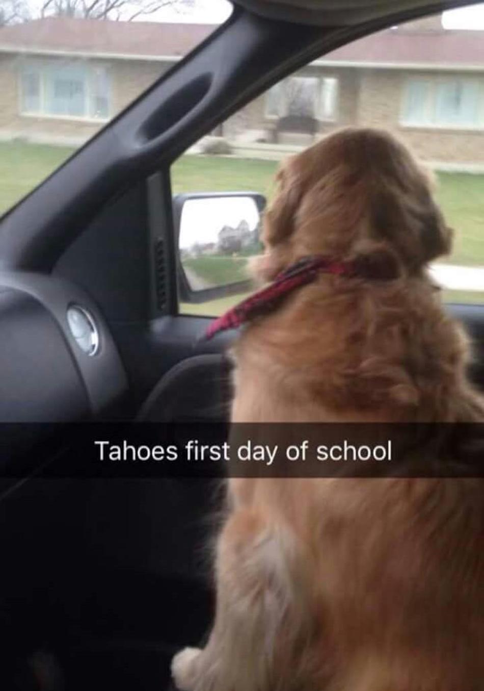 1st-day.jpg