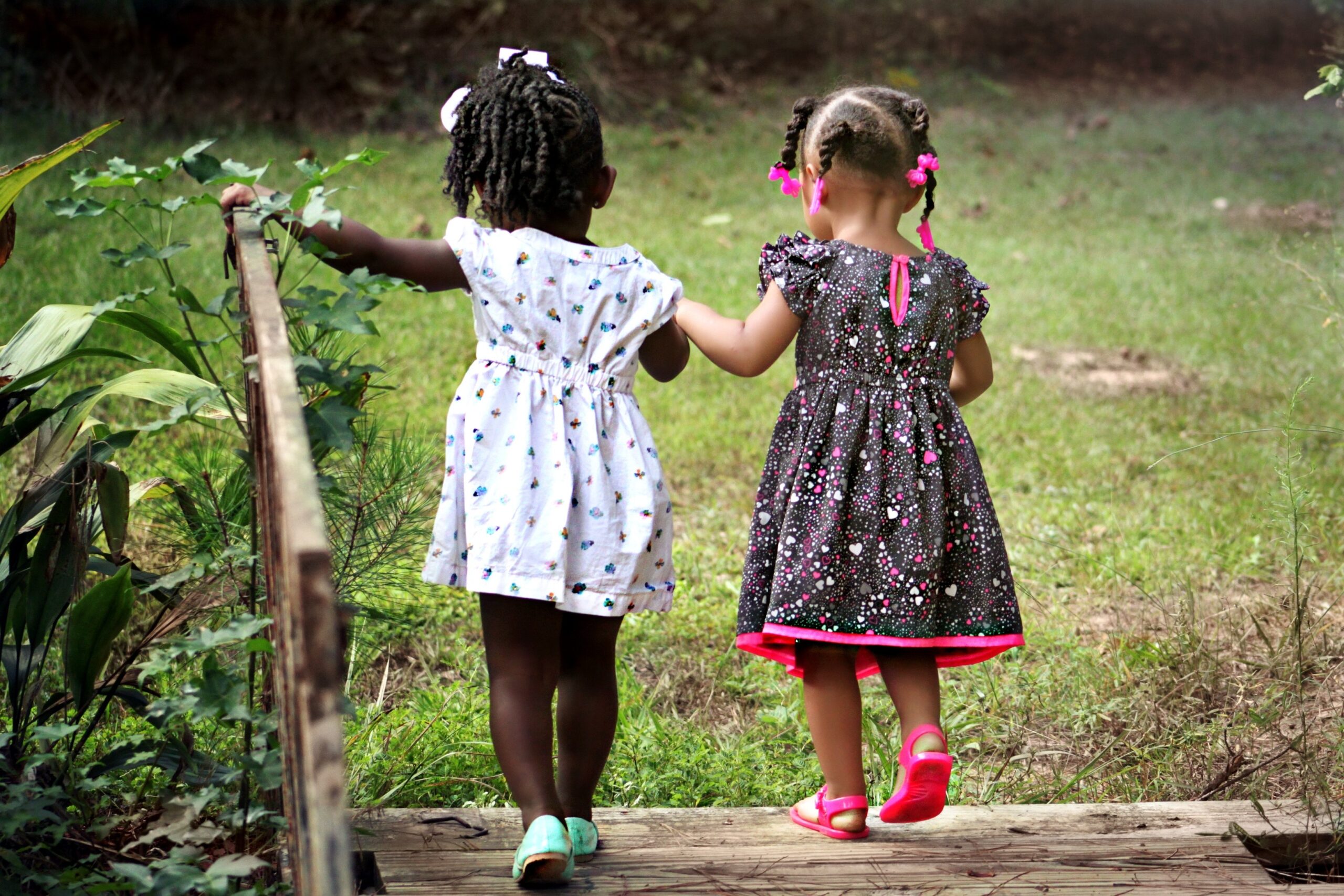 2-girl-walking-on-brown-bridge-during-daytime-50581.jpg