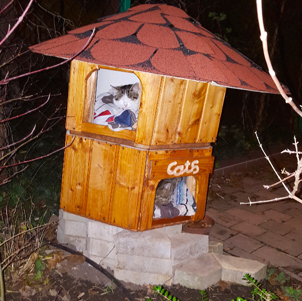 2-story-cat-house-1.jpg