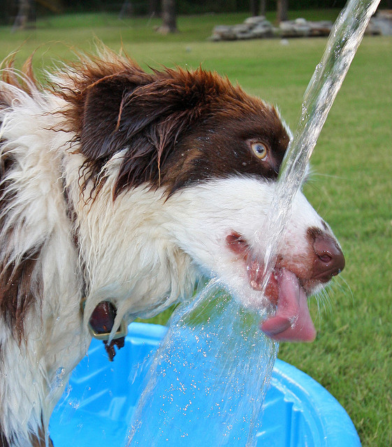 2.-Hydration.jpg