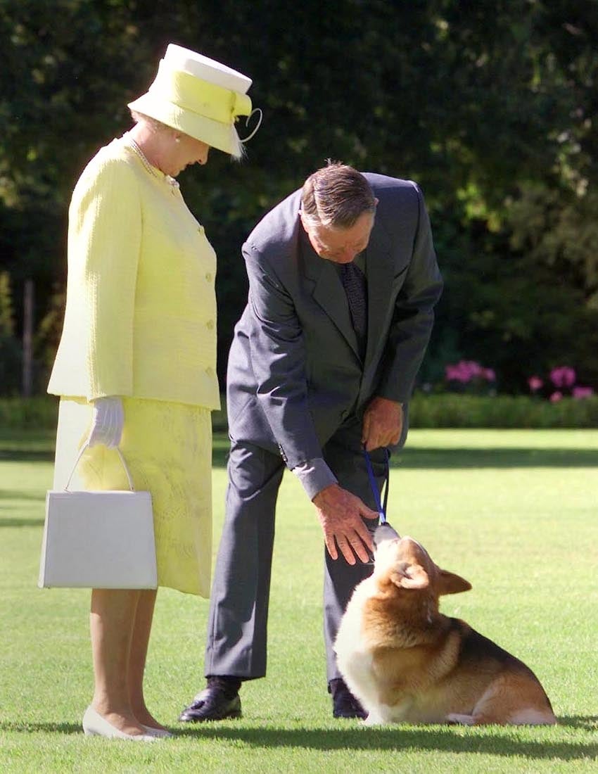 QUEEN ELIZABETH MEETS PRIZE WINNING CORGIS AND THEIR HANDLERS IN
ADELAIDE. QUEEN ELIZABETH MEETS PRIZE WINNING CORGIS AND THEIR HANDLERS IN
ADELAIDE.