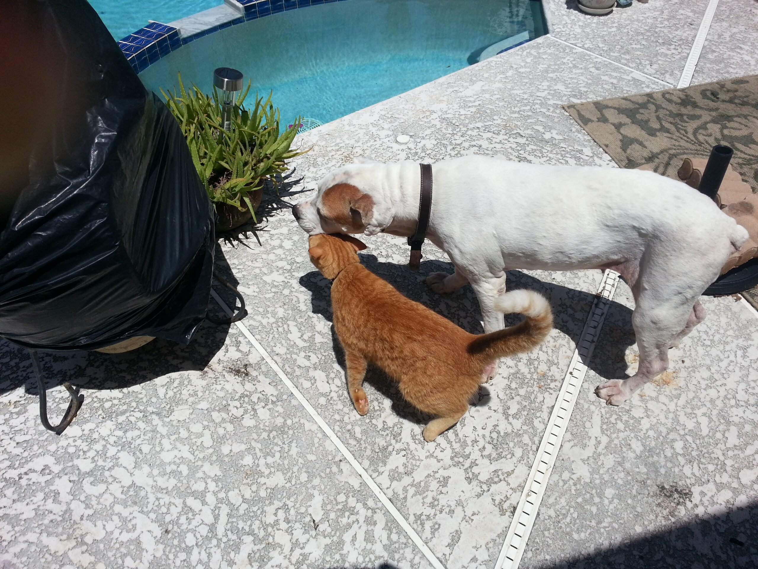 20120829_132438_20.jpg