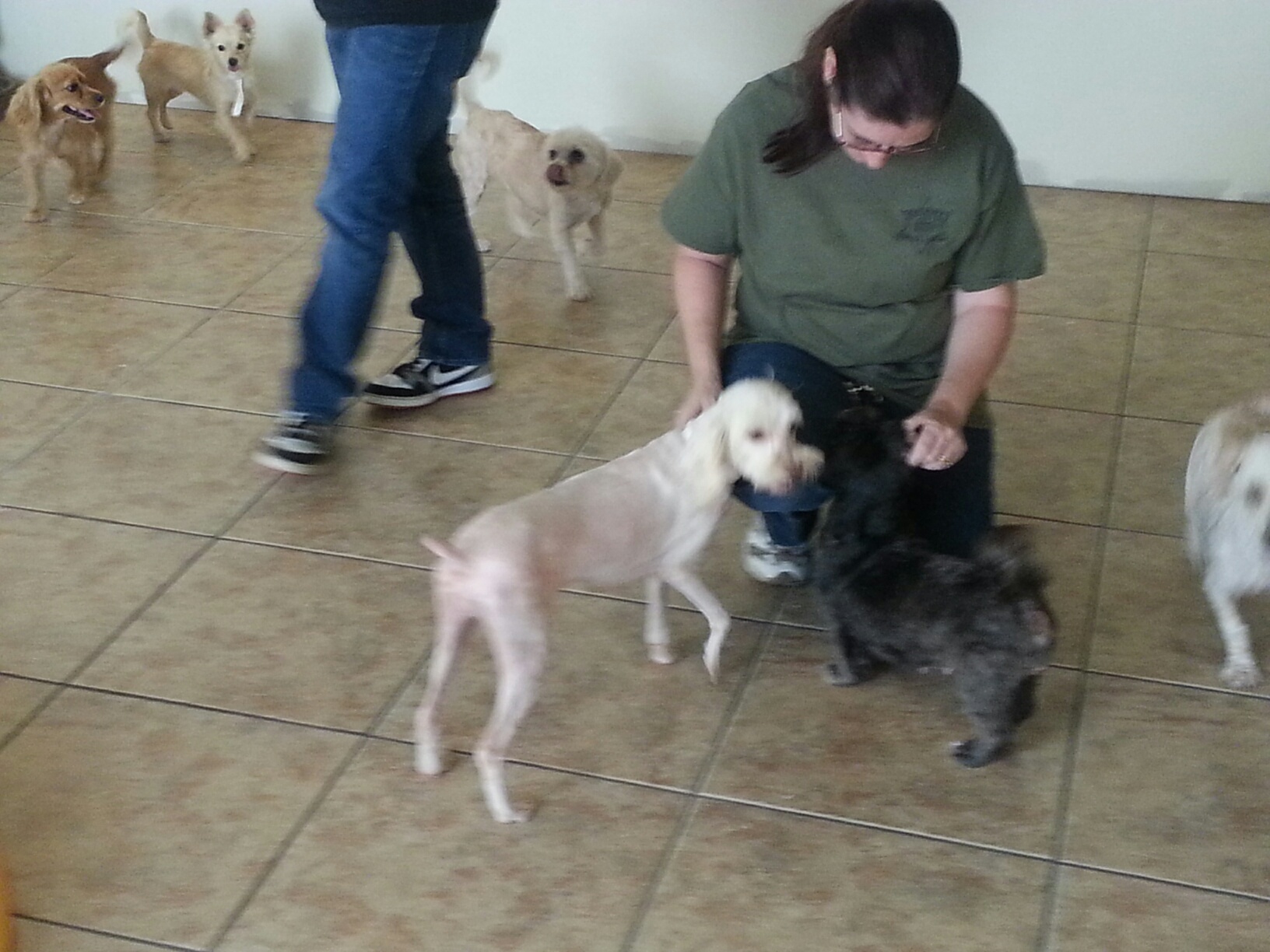 20141031_150517_resized_1.jpg