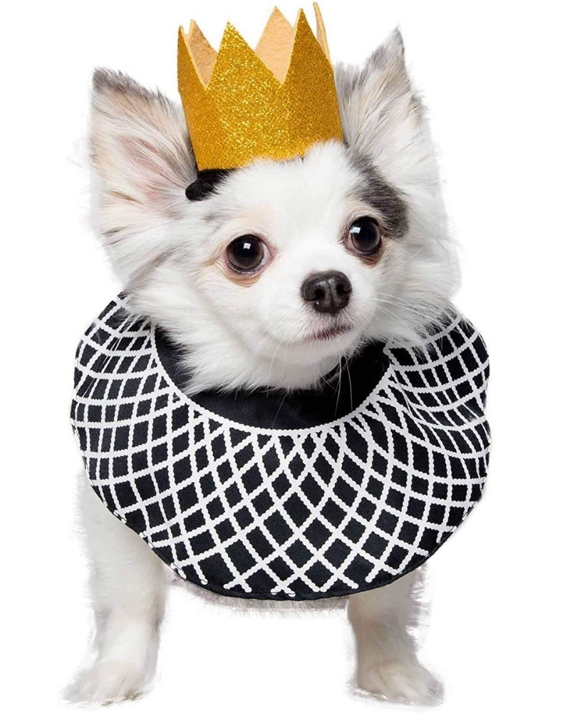 2020-themed-halloween-costumes-1.jpg