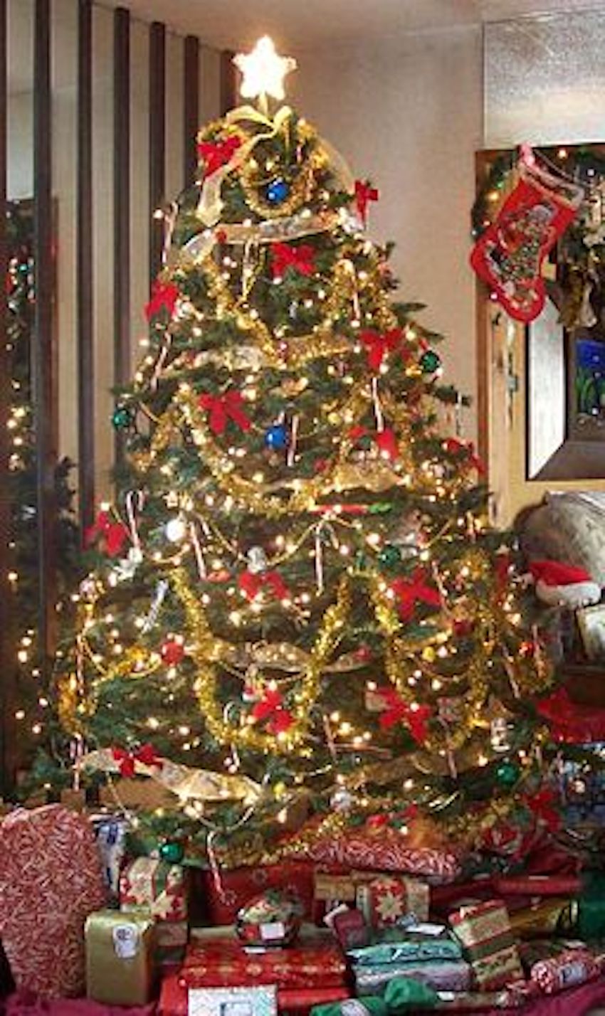 256px-User_Zink_Dawg_2009_Christmas_Tree.jpg