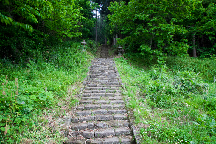 Stone Steps in the Mountain Forest