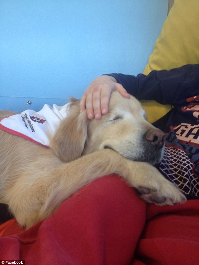 2684B14500000578-2988793-Precious_The_gorgeous_pup_from_Stouffville_Canada_was_adopted_fr-a-104_1426024703887.jpg
