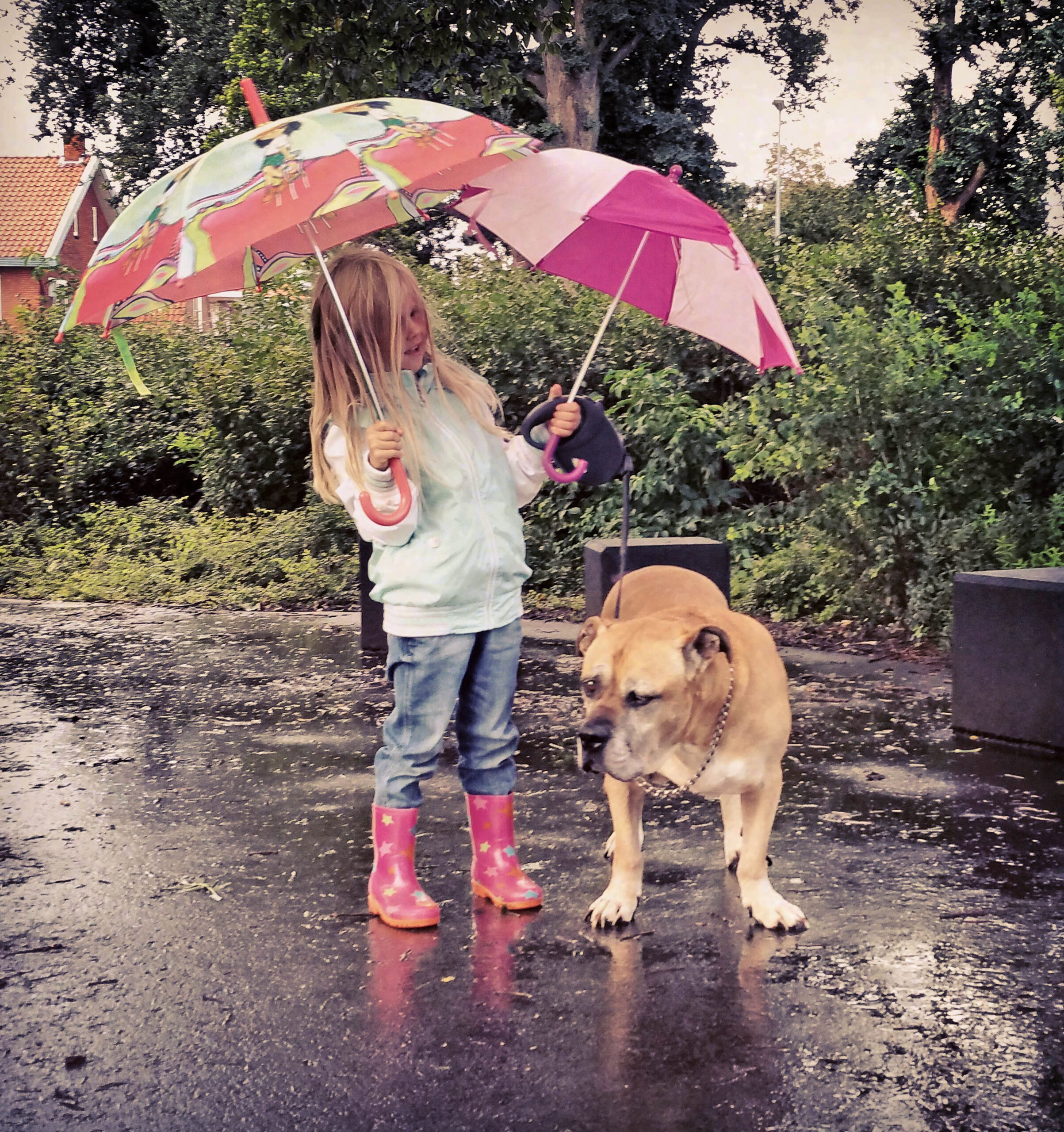 Girl Says Goodbye to Dog