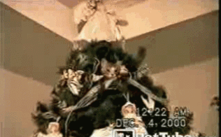 2dij7tt.gif