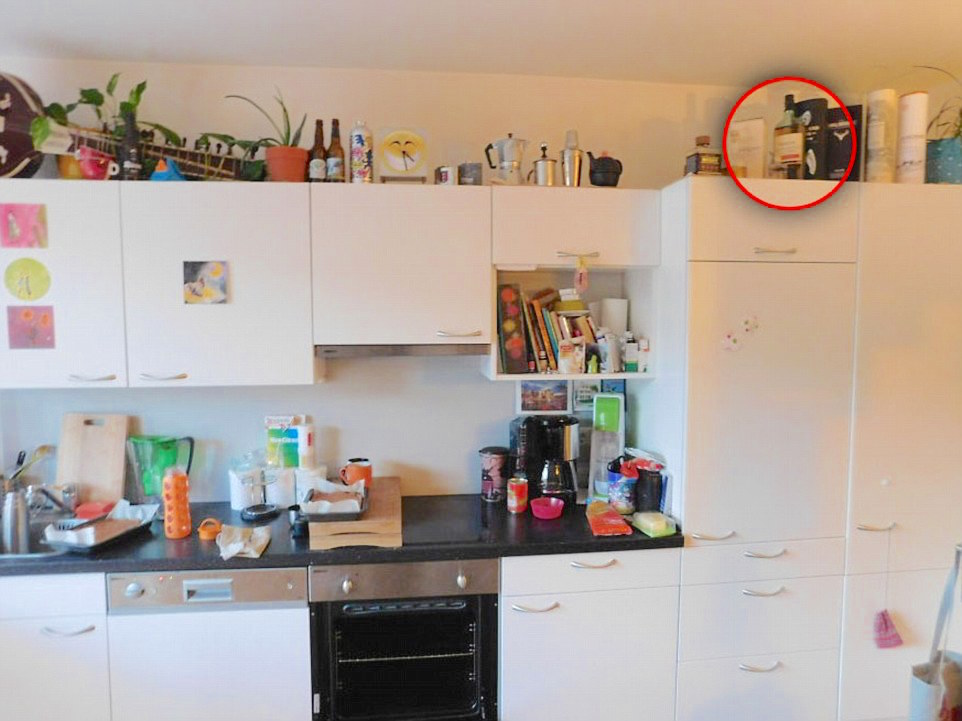 3058183500000578-3406718-Did_you_spot_the_kitty_He_can_only_just_be_seen_hiding_behind_a_-a-34_14532247825051.jpg