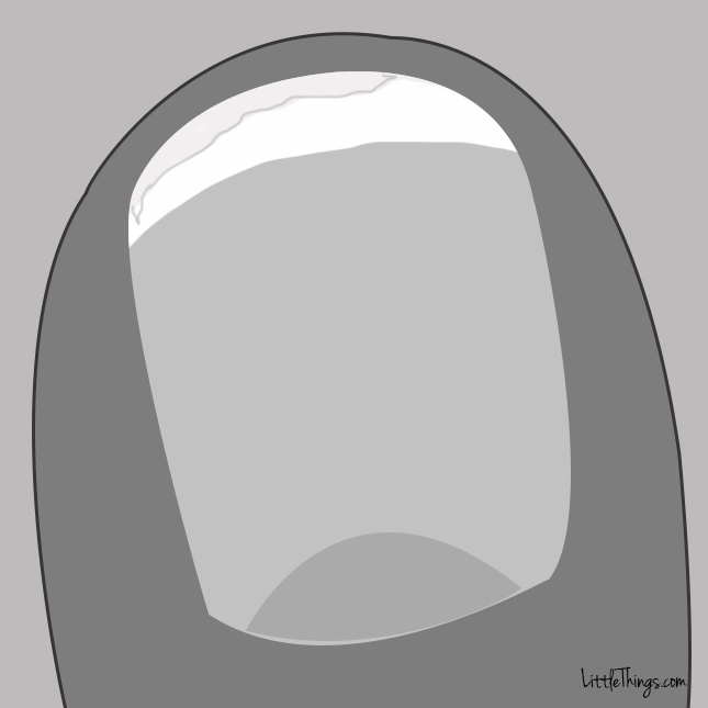 348-1.jpg