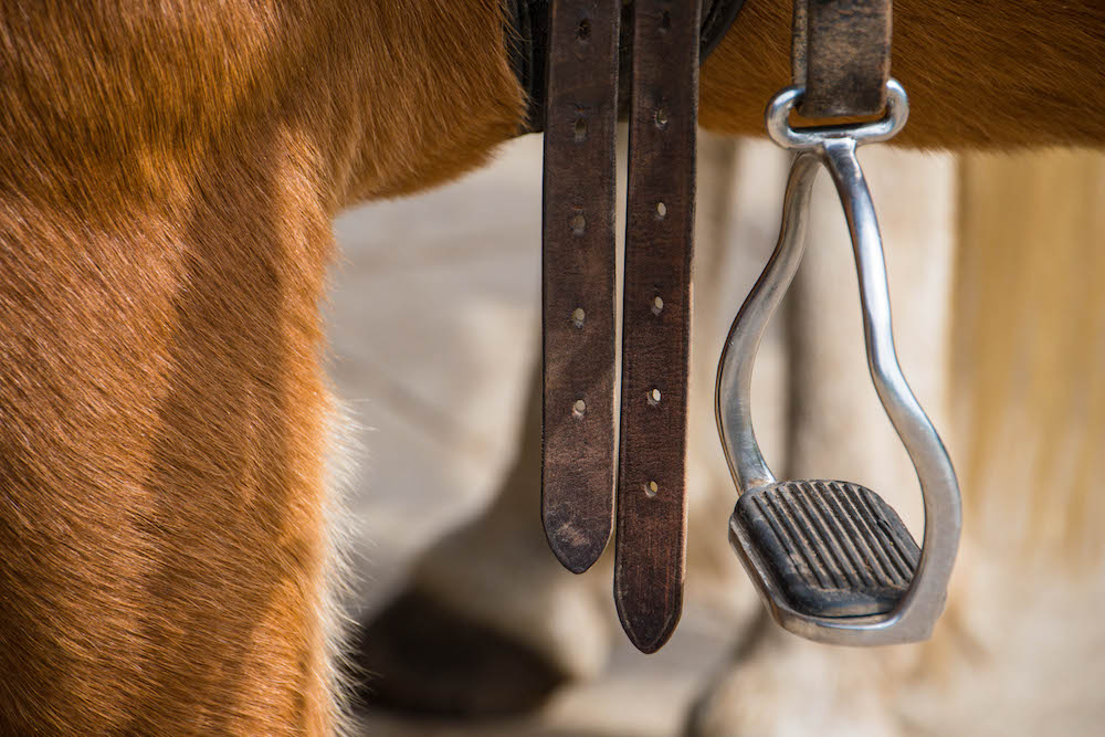 Stirrup - a good start to get up on a horse