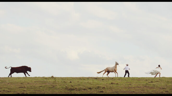 NEWLY WEDS CHASED BY BULL