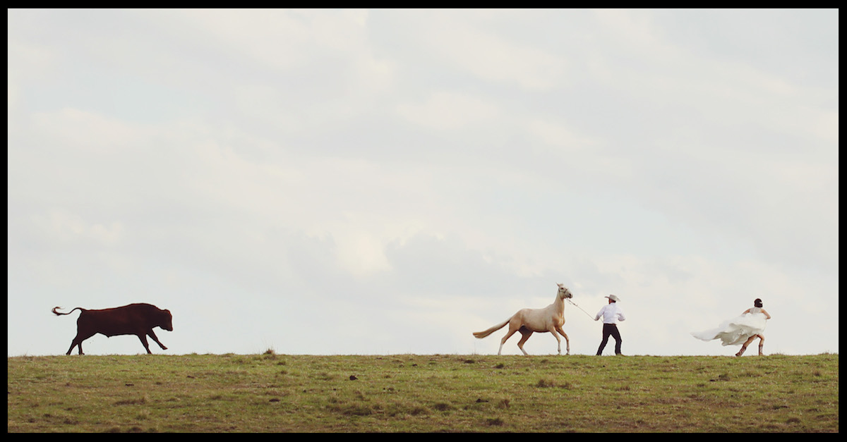 NEWLY WEDS CHASED BY BULL