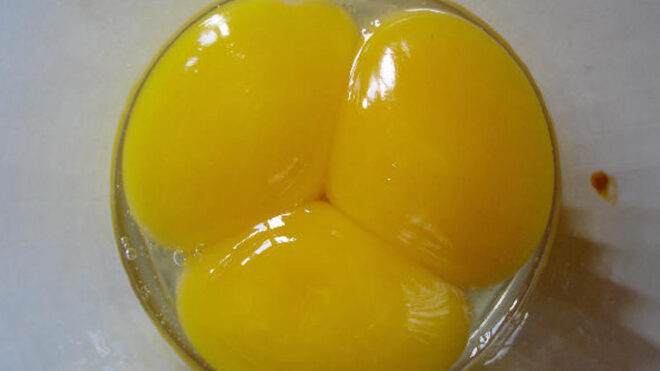 3_egg_yolks