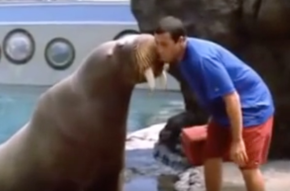 50-first-dates-1.jpg