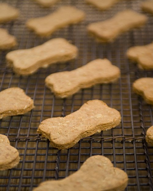 5021_102609_dog_biscuits_hd.jpg