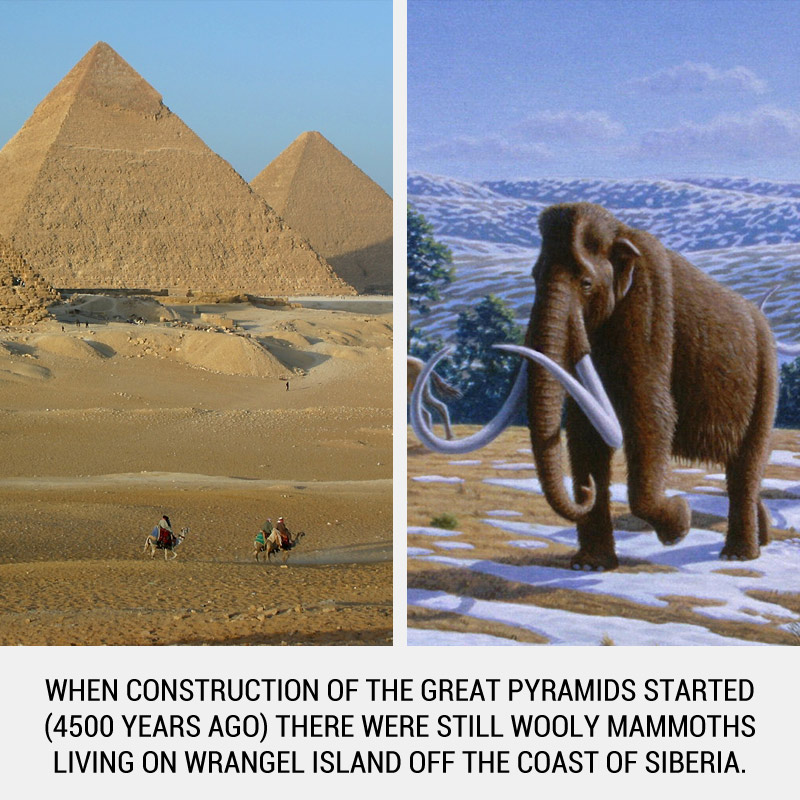 555-1.jpg