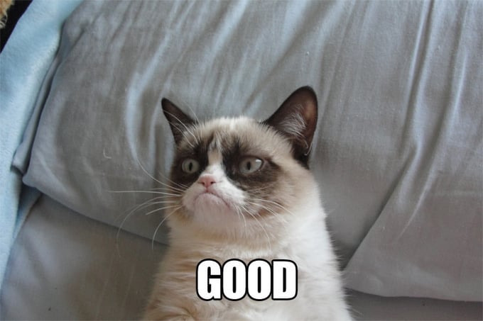 56414-Grumpy-Cat-GOOD-and-NO-memes-esB3.jpeg 56414-Grumpy-Cat-GOOD-and-NO-memes-esB3.jpeg