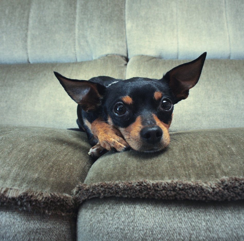 5769032012_00a7ea7b06_b.jpg