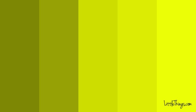 5_green.jpg 5_green.jpg