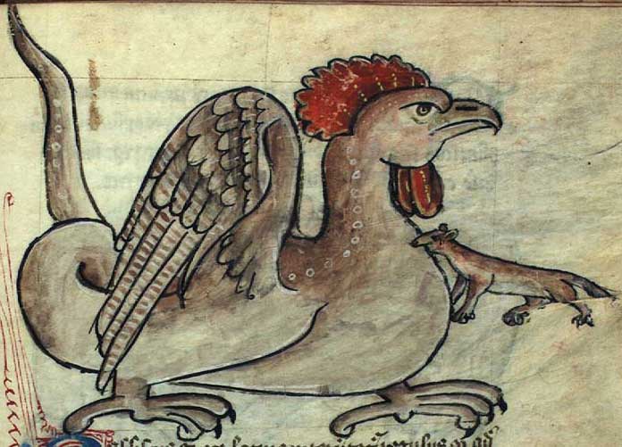 6.-Medieval-Bestiary1.jpg